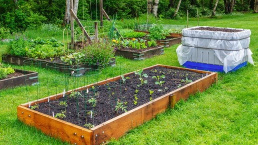 ��� ���������� �������� ����� � �������� ����� �� ������ ������