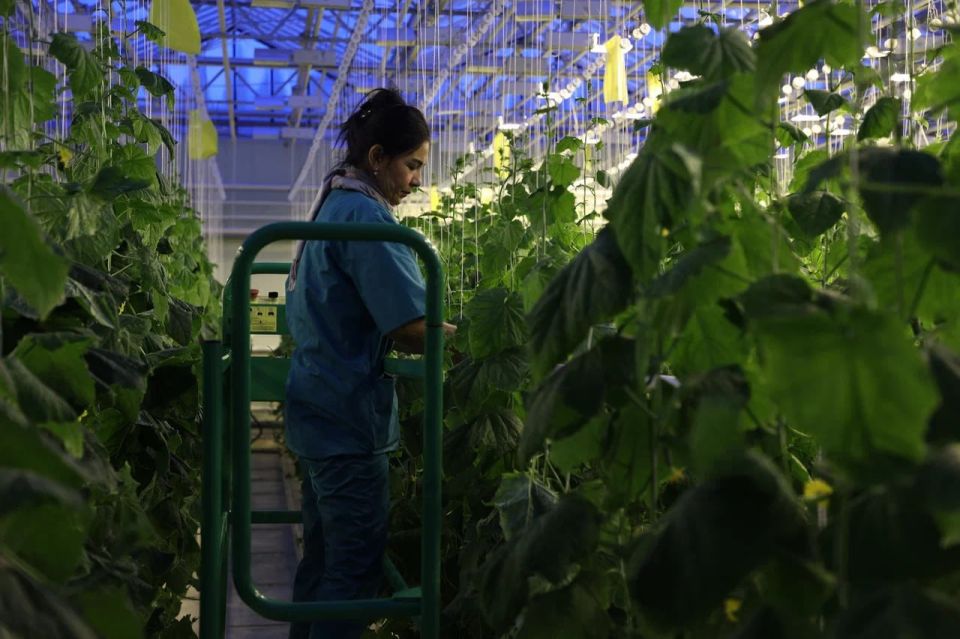 Работодатели Чукотки могут получить 1 млн рублей на привлечение специалистов