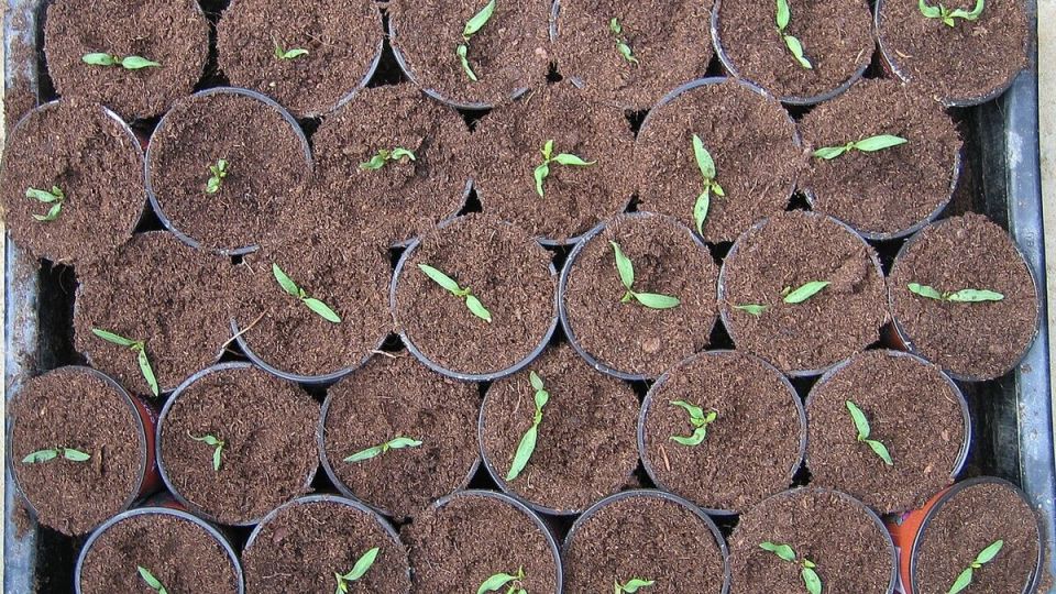 ����� ���� ��� ������ ������ � ����� ������� ��������� �������� �� ���������