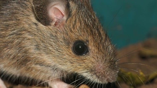 �������� ��� ��� ������ � �����: ��� ��� ������������� ������� ������ �� �����