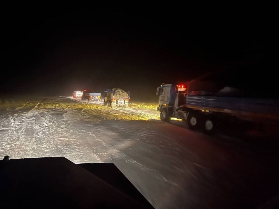 ����������� � �������� � ��������� ���� � ��������