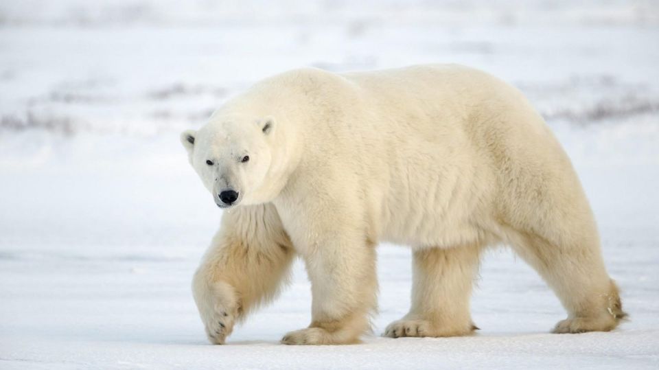 �������� ������ ���������� ������!