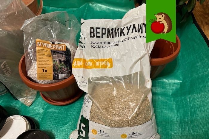 ������ ��� ����������: ��� ������� ��� ������� � ��������� ��������?