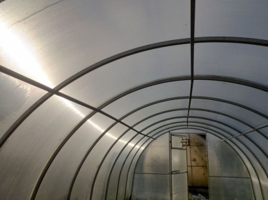 ������ ���������� �������: ������ ������, ������� ������ ������������