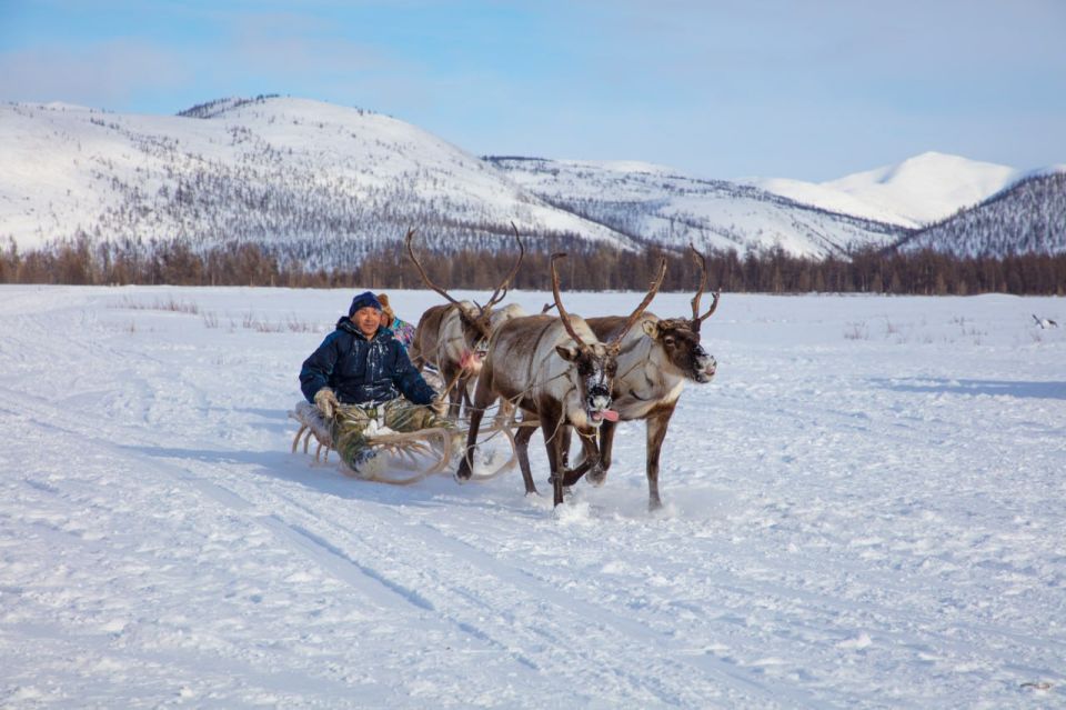 Третий день форума работников традиционных отраслей Чукотки посвятили ветеринарии, господдержке и регулированию численности волков