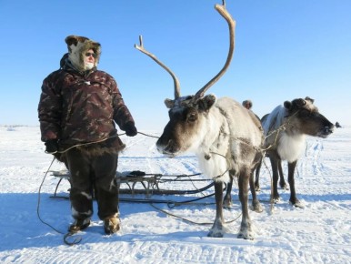 � ��������� ���������� ������ �������� ����� ������������ �������� � ���� ���������