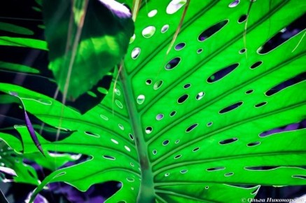 ��������: ���� � �������� �������� � ���� � ����������� ���������