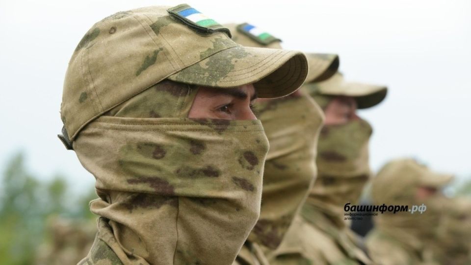 Участникам СВО предложат новые трудовые гарантии