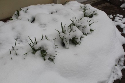 ������� ����� � ����������