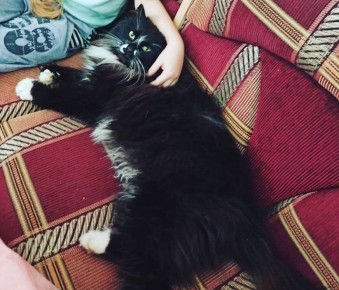 �������� ������� ��� �����: ������ ��� ���������� ������