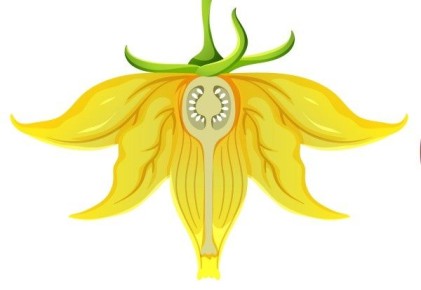 �������� ����������: ���� � ���������� �� ������ � ������� ������