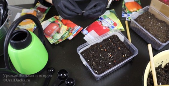 ������ ������ ��������� ����� ��������� ������ ������