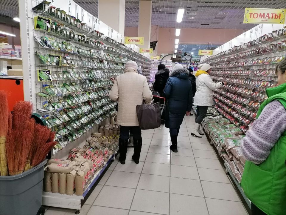 Сотни любимых сортов семян под угрозой: что стоит за новыми запретами