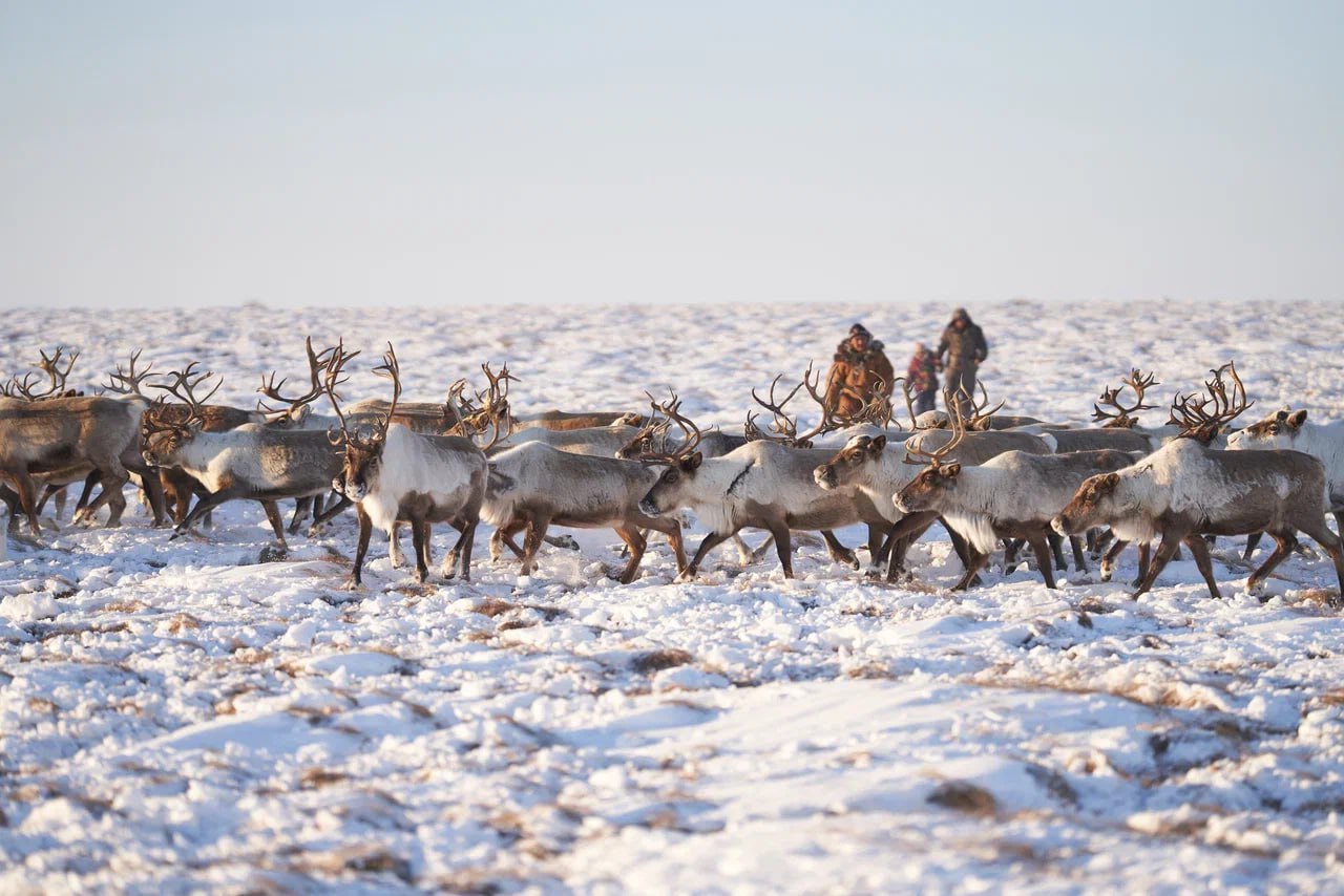 В столице Чукотки завершился Форум работников традиционных отраслей