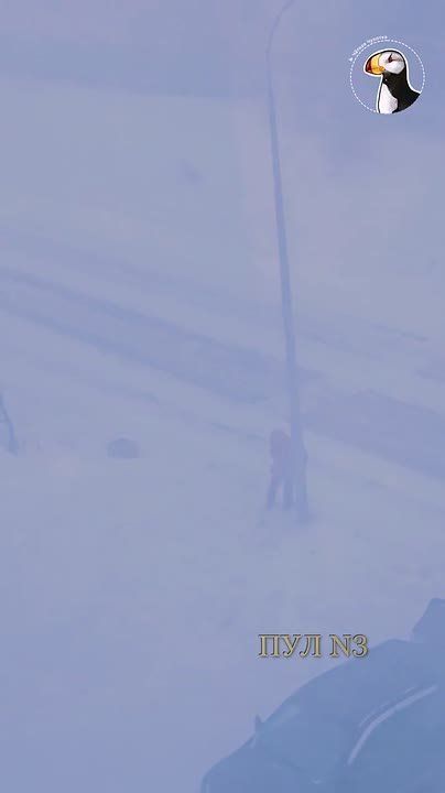 � ������� ���� ��������� �������������� �����, ����� ��������� �� ������: