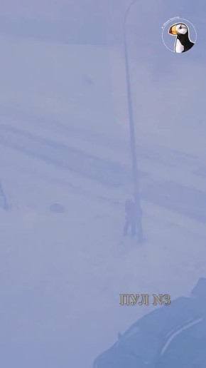 В Анадыре люди буквально сопротивляются ветру, чтобы добраться до работы: