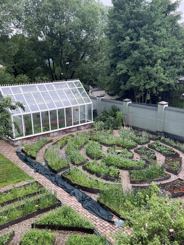 Высокие грядки: как они делают дачное хозяйство комфортнее и приятнее?