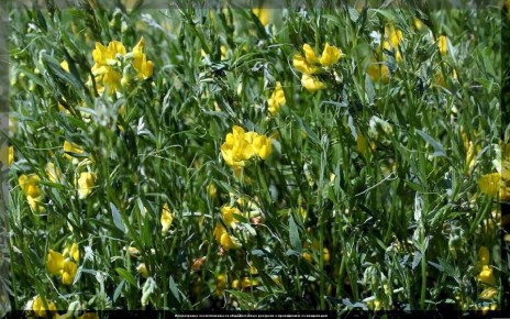 ������� ��������� ��������������: ������ ������ ��� ��������