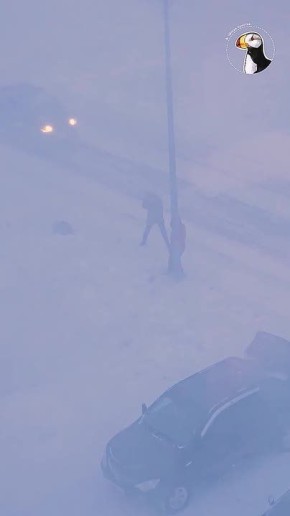 ��������� ����� � ��������� ������� � �������� �� 50 �/c