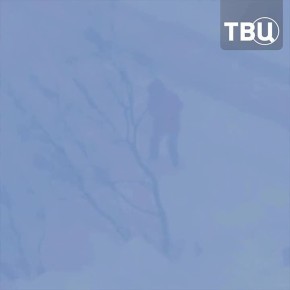 Февраль решил оторваться напоследок: метель сносит крыши на Чукотке