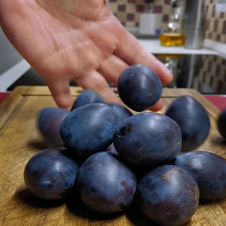 Выпечка со сливами: удивительно просто и невероятно вкусно