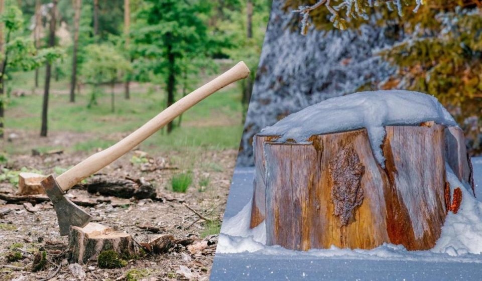 ��� ���� � ����� ���� ����� ����� ������� �������� ��������