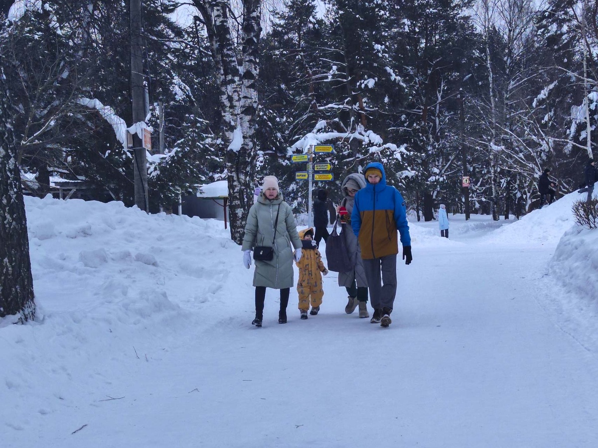 Индексация социальных пособий в России: что изменится с 1 февраля