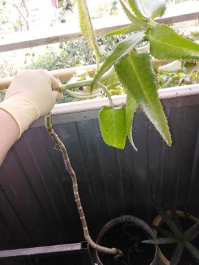 ��������� �������� � ������ � ����������: ���� ���� � ��������