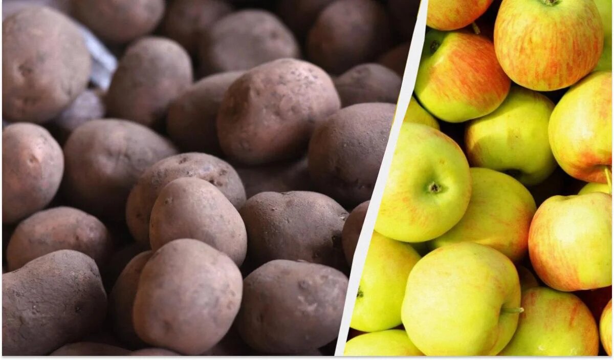 Как сохранить картошку свежей: секреты, которые вас удивят