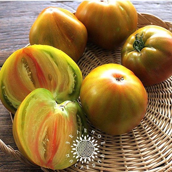 ������� ������ "����������� ������ ��������": ��� ��������� ���� � ��������� ������