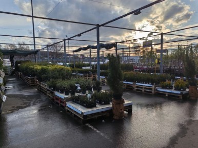 �������� ������ �������� ������: ��� ����������� ����� �����