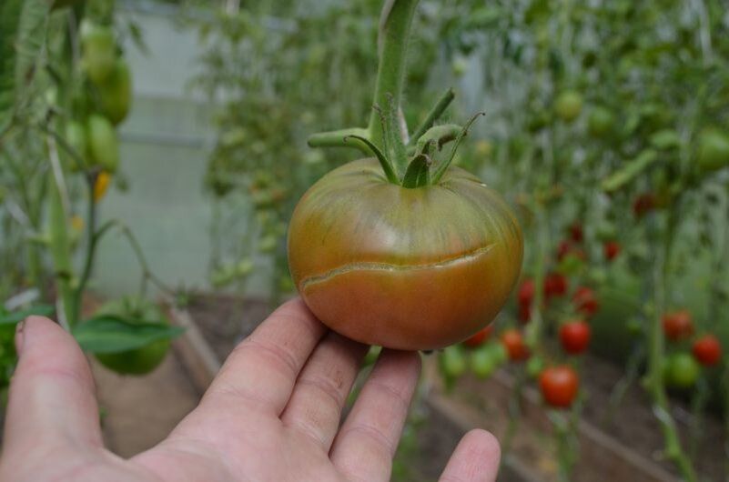 ��� �������� ������ �� ��������� �� ����� ����������