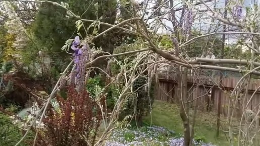 ������� ���� ����: ��� ���������� �� ������� ��������� ��� ���������