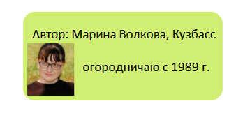 Как не бояться заморозков: что сажать в открытый грунт весной