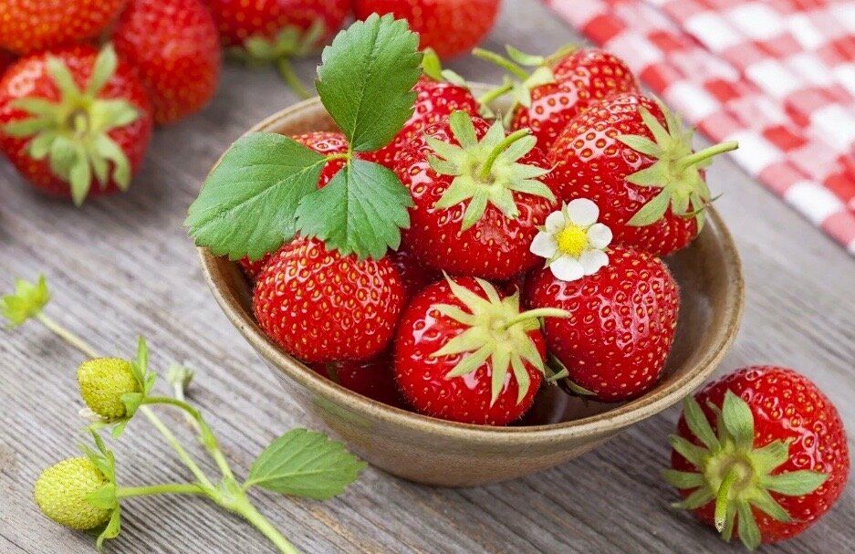 ���������� ���������: ������� ���������� �� ����