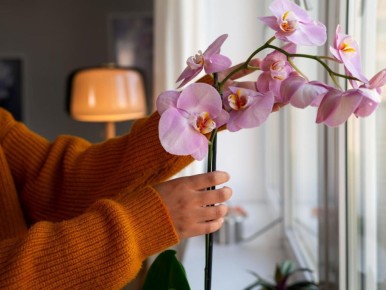 ������ ������� ����� � �������: �������� ������� � ������ �� �����