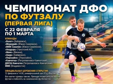 Чемпионат ДФО по футзалу. Продолжаем следить за нашей командой