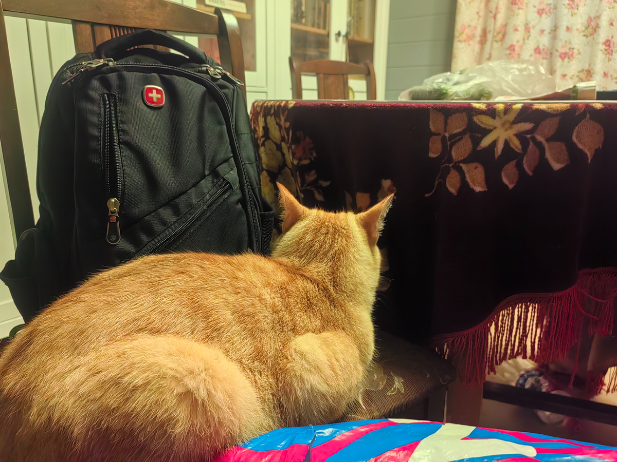 Оплата за фото в комментариях: новые ограничения и их последствия