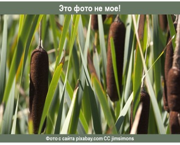 ���������� �����: ��� ����� ����� ����� ������������ � �����