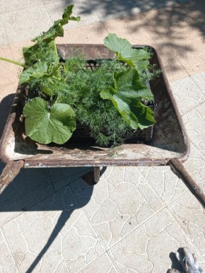 ������� ������� ������ ��������: ��� ������ � 1 ����