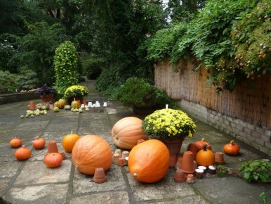 ��������� �� �����: ������� � ������� ������� ��� ����