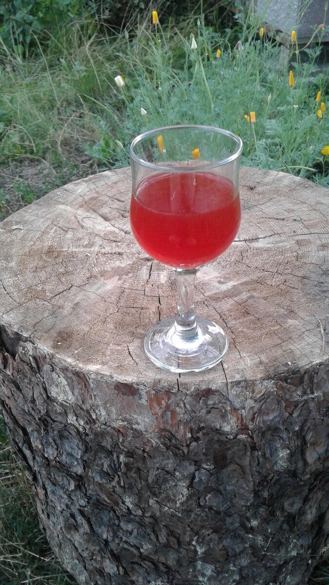 Общее собрание садоводов: готовы ли вы голосовать через Госуслуги?