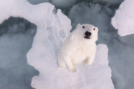 ������� ���������� ������ ����� ����: �� ����������� ���������� ������ �������� ����������� ������ 15-������ ����������