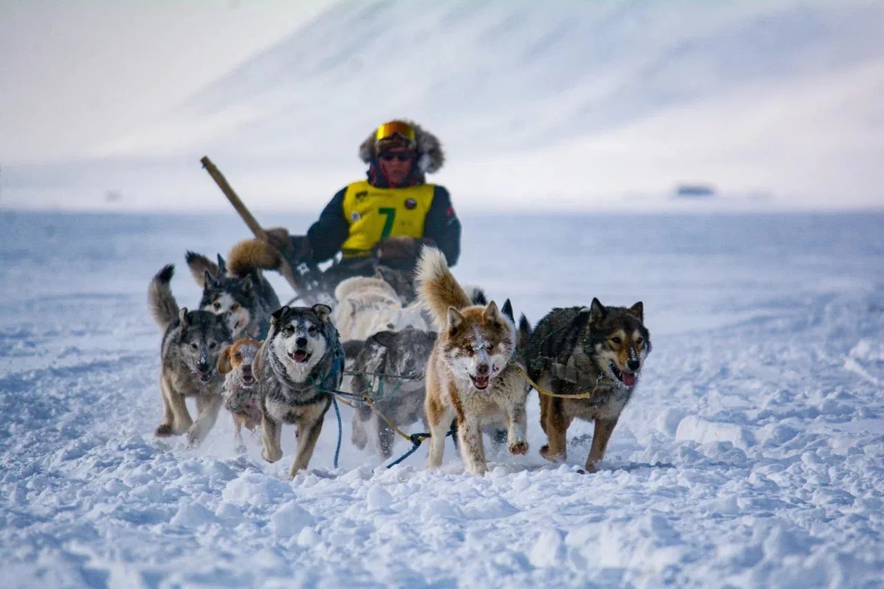 На Чукотке стартовал приём заявок на легендарную гонку на собачьих упряжках «Надежда–2026»