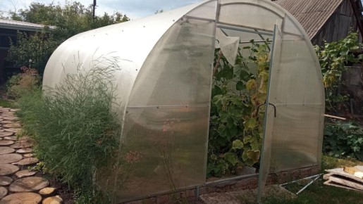 ������ ����� �������� �������� � ������ ����� 40 ���