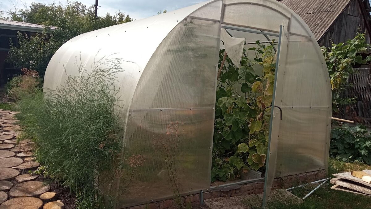 Почему стоит включить помидоры в рацион после 40 лет