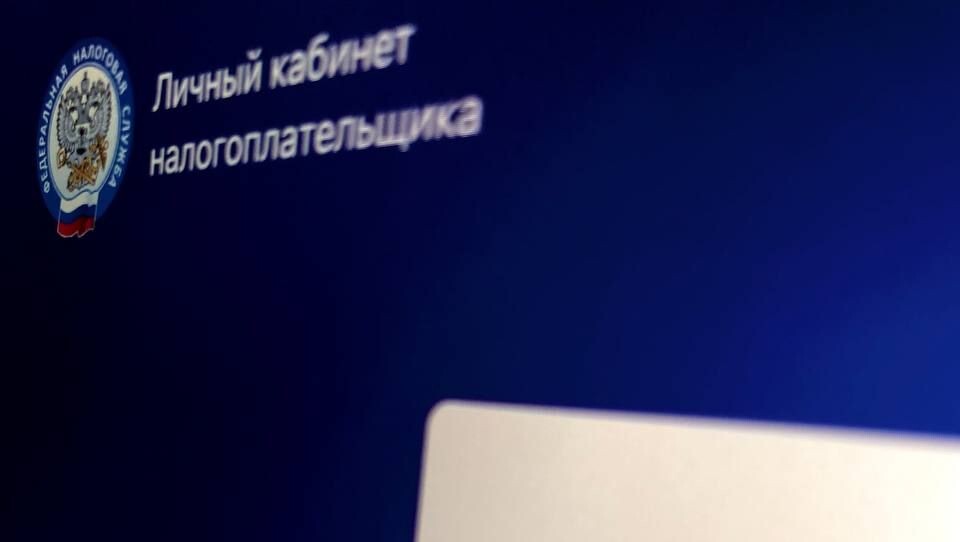 Как налоговая служба борется с теневыми доходами в России