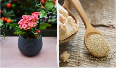 ������� ��������� ��������� ������: ����� � ������ � ��������