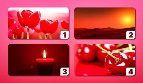 ��� ���� ������ �� ���� ��������: ���������� ����