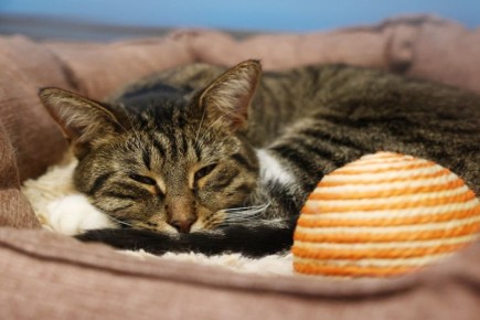 � ������ ������ ����� � ����������� �������� �������� ��� �������� ���������